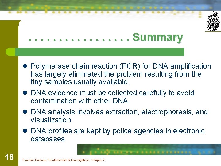 . . . . Summary l Polymerase chain reaction (PCR) for DNA amplification has