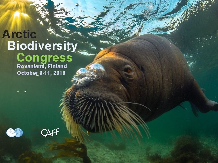 CIRCUMPOLAR BIODIVERSITY MONITORING PROGRAM Arctic Biodiversity Congress Rovaniemi, Finland October 9 -11, 2018 