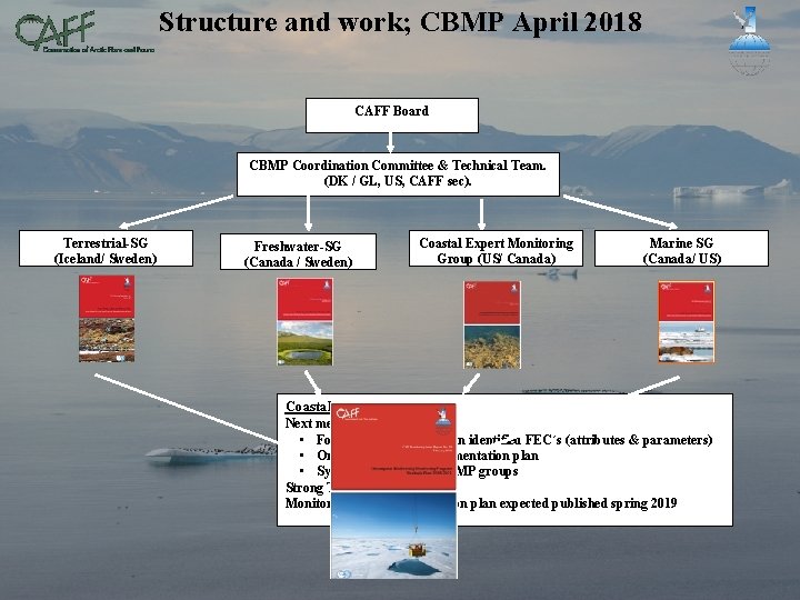 Structure and work; CBMP April 2018 CIRCUMPOLAR BIODIVERSITY MONITORING PROGRAM CAFF Board CBMP Coordination