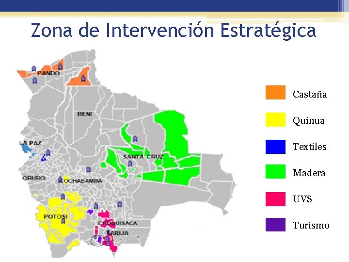 Zona de Intervención Estratégica Castaña Quinua Textiles Madera UVS Turismo 