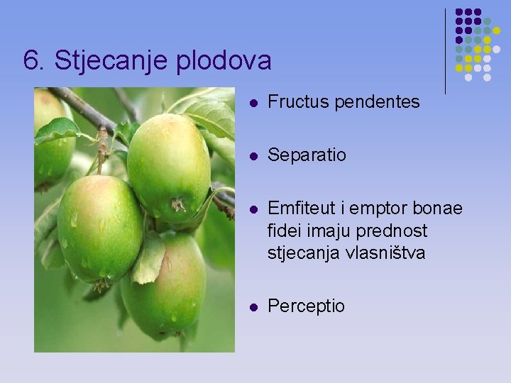 6. Stjecanje plodova l Fructus pendentes l Separatio l Emfiteut i emptor bonae fidei