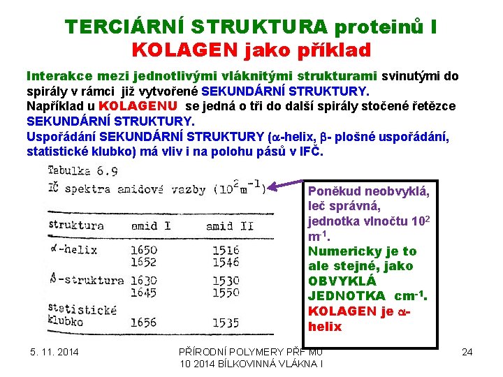 TERCIÁRNÍ STRUKTURA proteinů I KOLAGEN jako příklad Interakce mezi jednotlivými vláknitými strukturami svinutými do