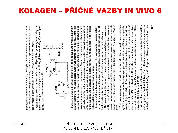 KOLAGEN – PŘÍČNÉ VAZBY IN VIVO 6 5. 11. 2014 PŘÍRODNÍ POLYMERY PŘF MU