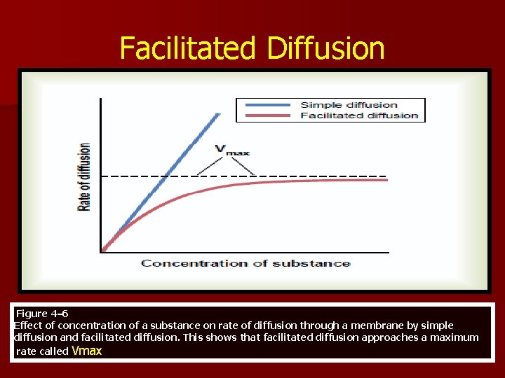 Facilitated Diffusion Figure 4– 6 Effect of concentration of a substance on rate of