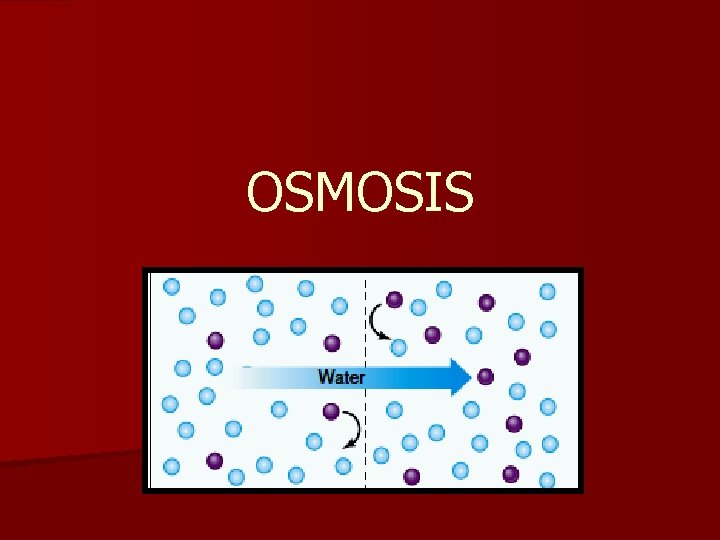 OSMOSIS 