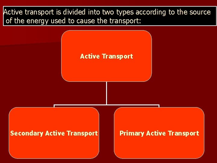 Active transport is divided into two types according to the source of the energy