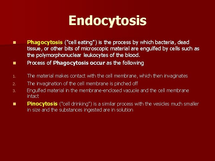 Endocytosis n Phagocytosis ("cell eating") is the process by which bacteria, dead tissue, or