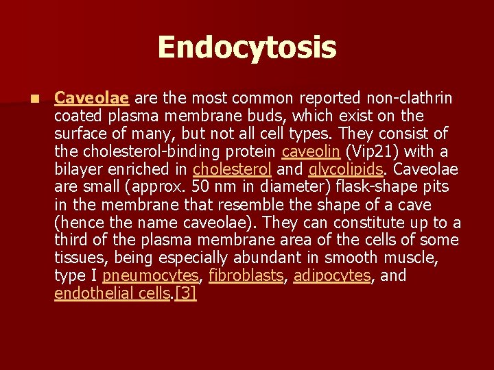 Endocytosis n Caveolae are the most common reported non-clathrin coated plasma membrane buds, which