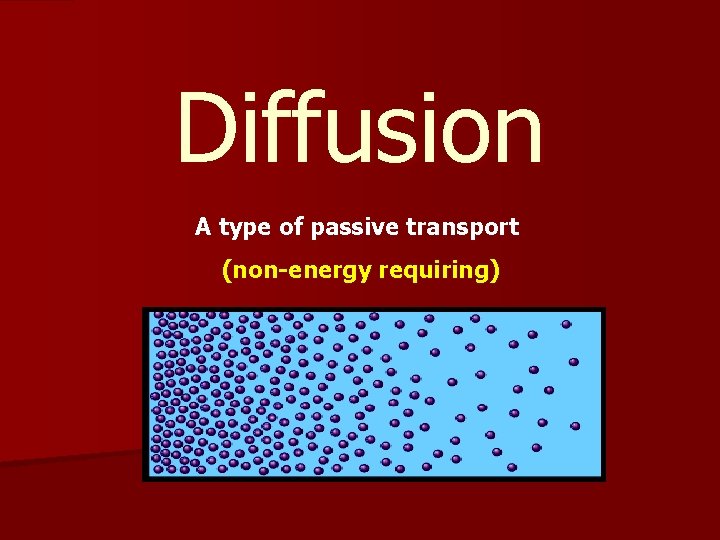 Diffusion A type of passive transport (non-energy requiring) 