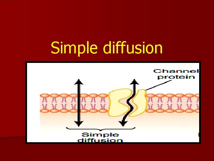 Simple diffusion 