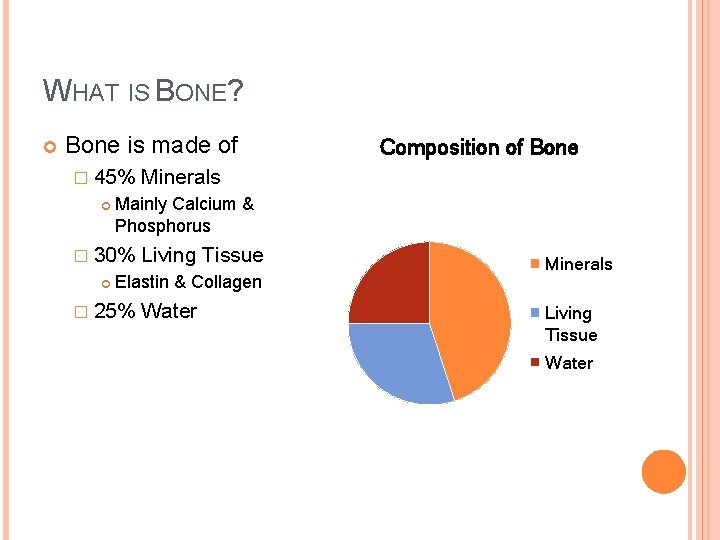 WHAT IS BONE? Bone is made of � 45% Minerals Mainly Calcium & Phosphorus