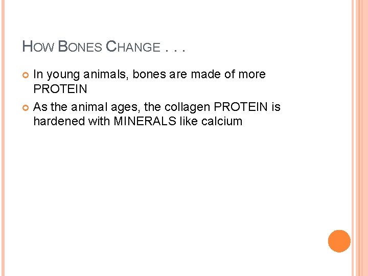 HOW BONES CHANGE. . . In young animals, bones are made of more PROTEIN