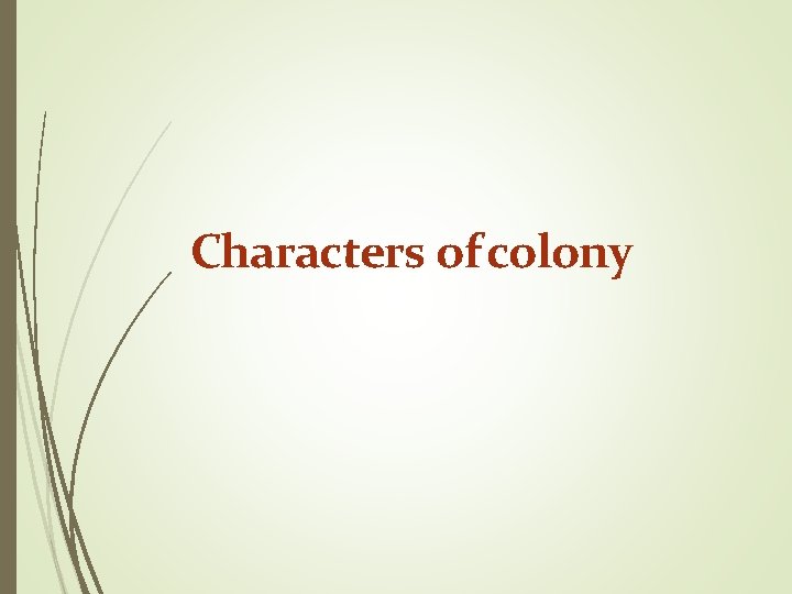 Characters of colony 