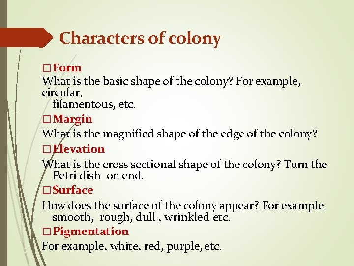 Characters of colony � Form What is the basic shape of the colony? For