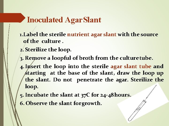 Inoculated Agar Slant 1. Label the sterile nutrient agar slant with the source of