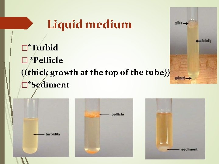 Liquid medium �*Turbid � *Pellicle ((thick growth at the top of the tube)) �*Sediment