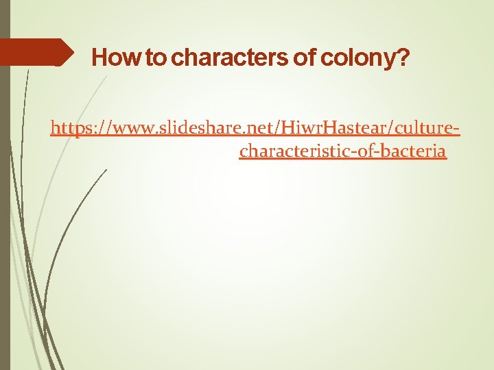How to characters of colony? https: //www. slideshare. net/Hiwr. Hastear/culturecharacteristic-of-bacteria 