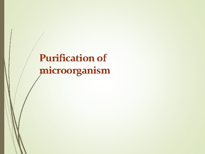 Purification of microorganism 