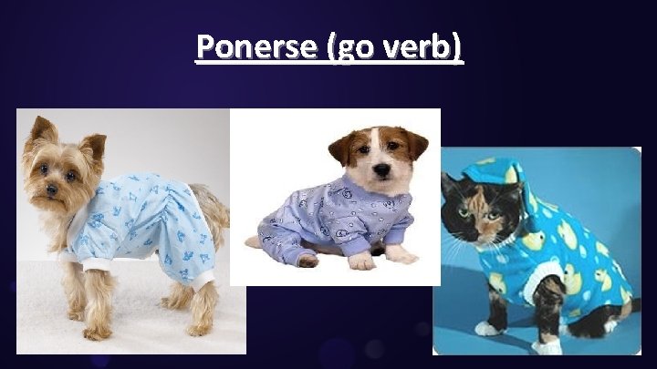 Ponerse (go verb) 