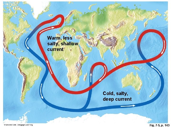 Warm, less salty, shallow current Cold, salty, deep current Fig. 7 -5, p. 143