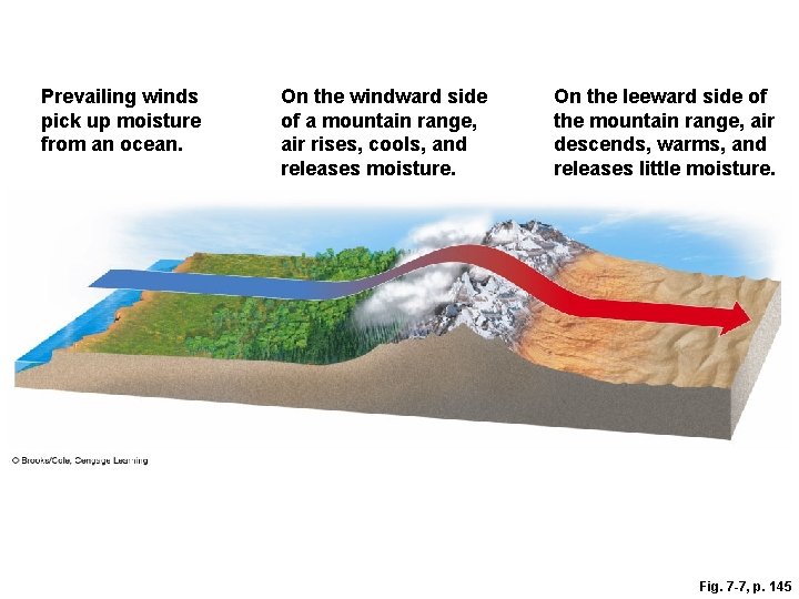 Prevailing winds pick up moisture from an ocean. On the windward side of a