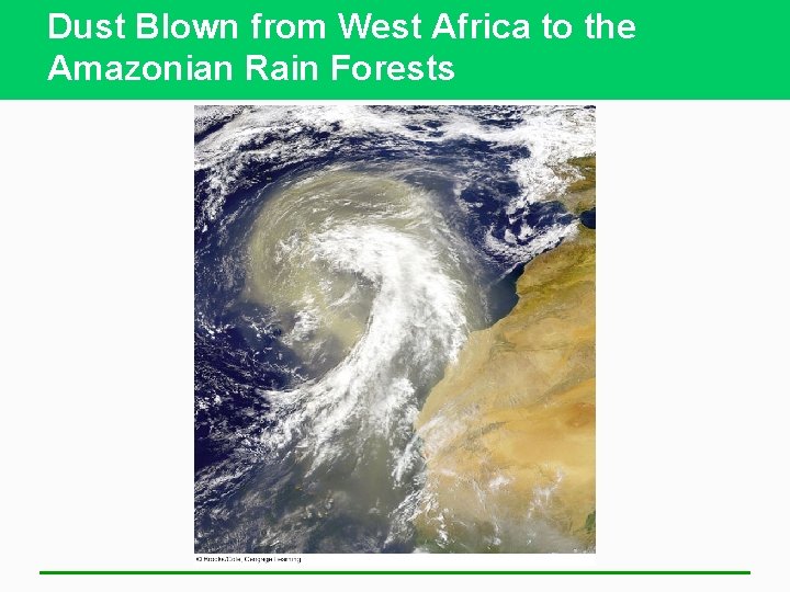 Dust Blown from West Africa to the Amazonian Rain Forests 