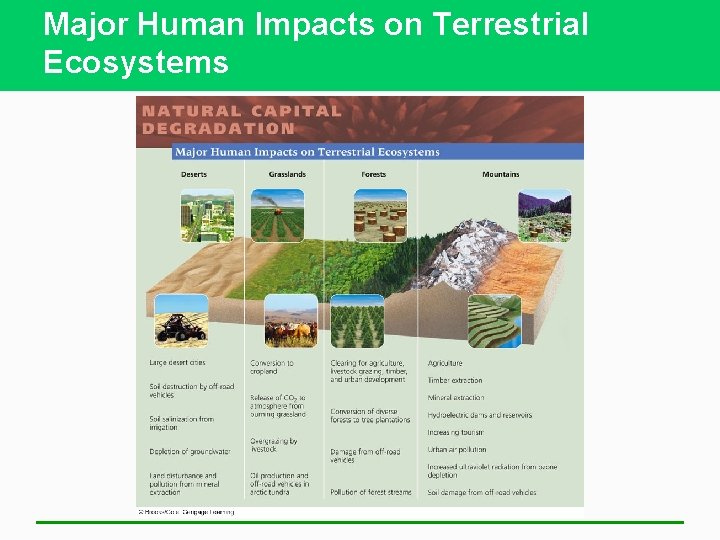 Major Human Impacts on Terrestrial Ecosystems 