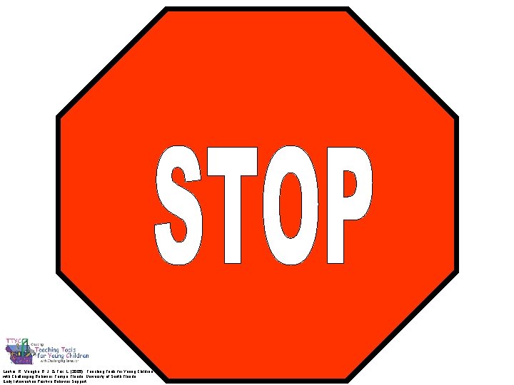 Lentini, R. , Vaughn, B. J. , & Fox, L. (2005). Teaching Tools for