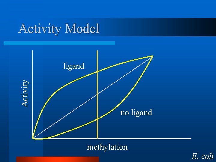 Activity Model Activity ligand no ligand methylation E. coli 