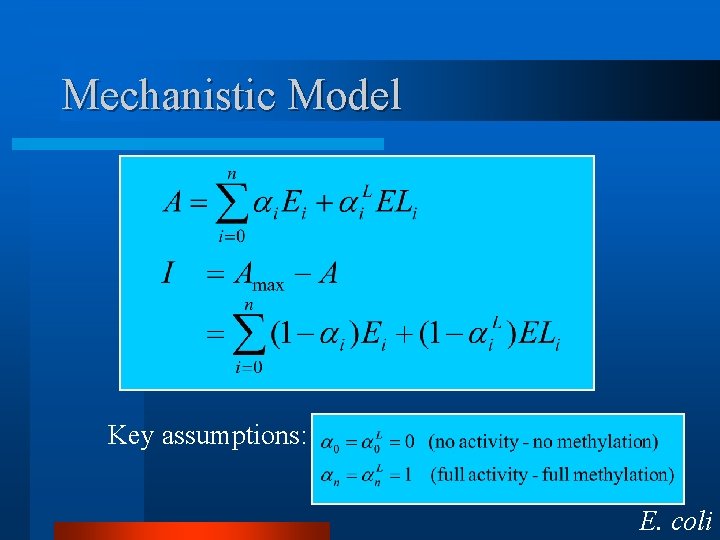 Mechanistic Model Key assumptions: E. coli 