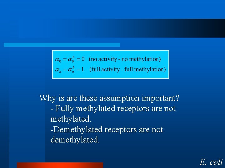 Why is are these assumption important? - Fully methylated receptors are not methylated. -Demethylated