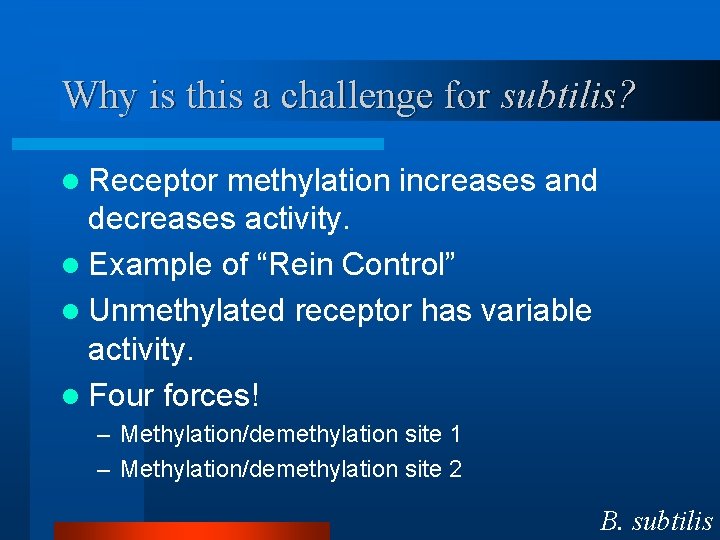 Why is this a challenge for subtilis? l Receptor methylation increases and decreases activity.