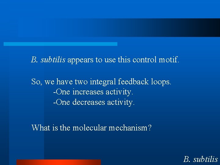 B. subtilis appears to use this control motif. So, we have two integral feedback