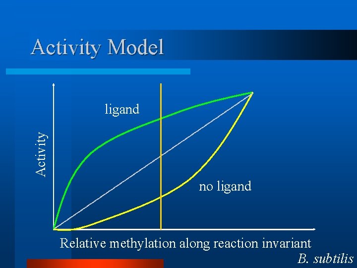Activity Model Activity ligand no ligand Relative methylation along reaction invariant B. subtilis 