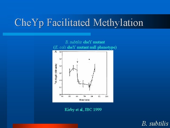 Che. Yp Facilitated Methylation B. subtilis che. Y mutant (E. coli che. Y mutant