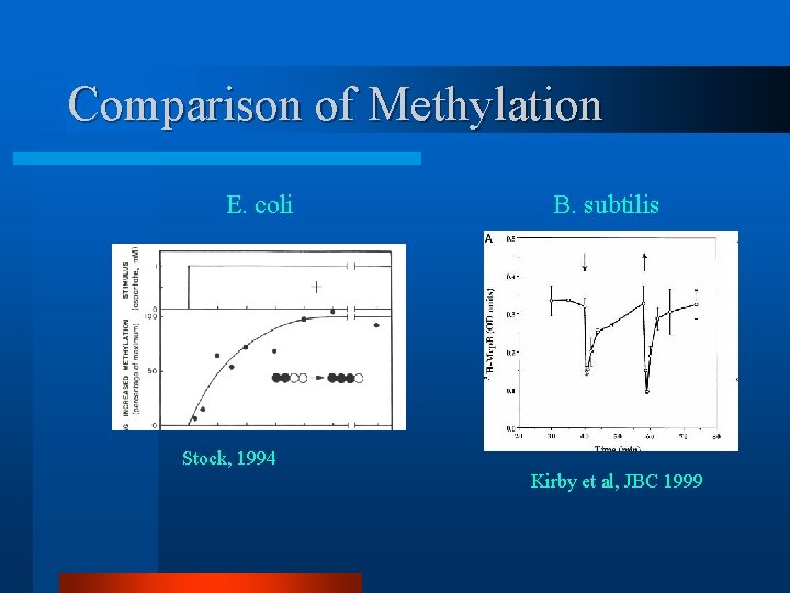 Comparison of Methylation E. coli B. subtilis Stock, 1994 Kirby et al, JBC 1999