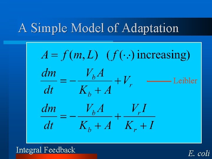 A Simple Model of Adaptation Leibler Integral Feedback E. coli 