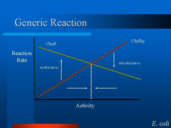 Generic Reaction Che. Bp Che. R Reaction Rate demethylation Activity E. coli 