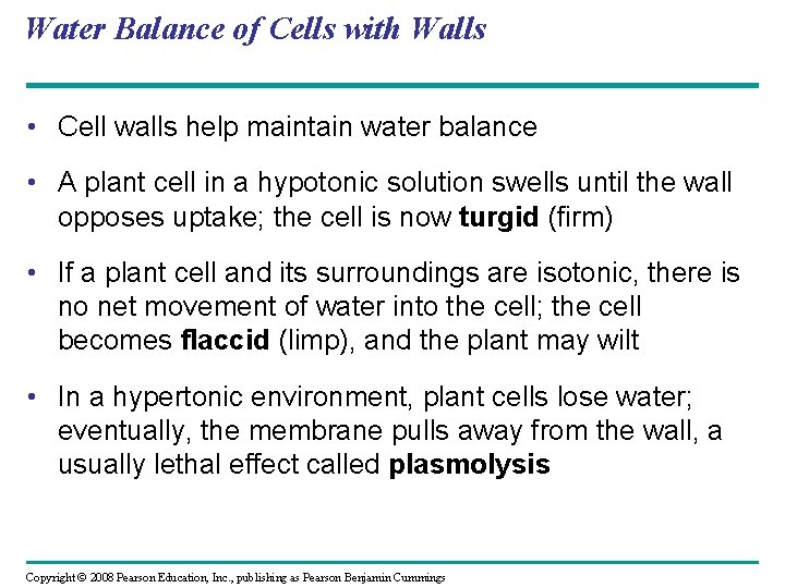 Water Balance of Cells with Walls • Cell walls help maintain water balance •