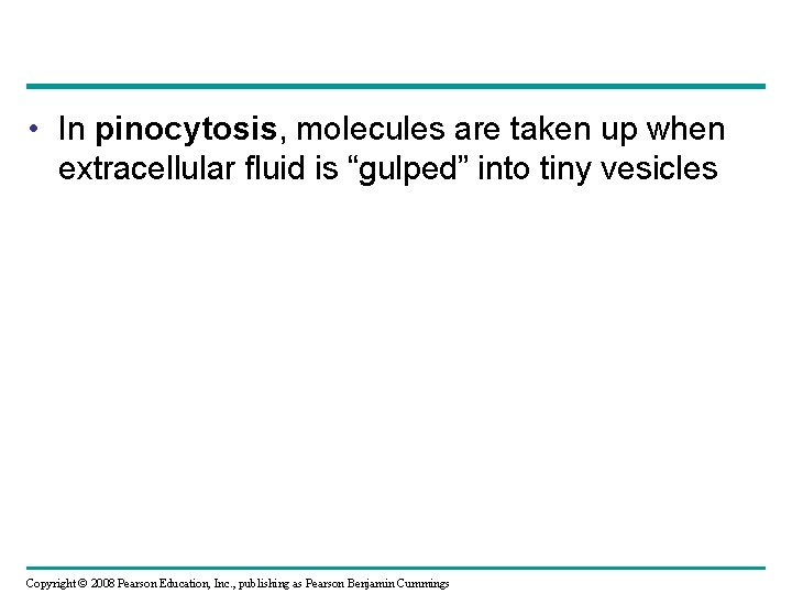  • In pinocytosis, molecules are taken up when extracellular fluid is “gulped” into