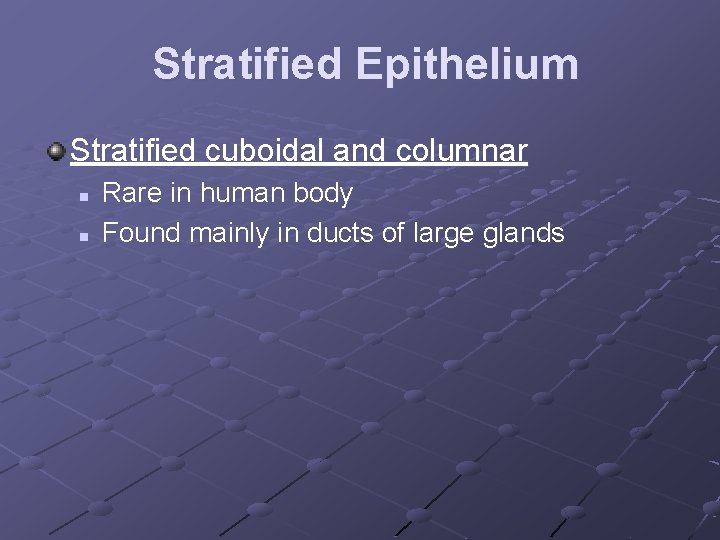 Stratified Epithelium Stratified cuboidal and columnar n n Rare in human body Found mainly