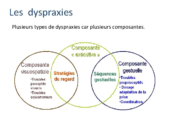 Les dyspraxies Plusieurs types de dyspraxies car plusieurs composantes. 
