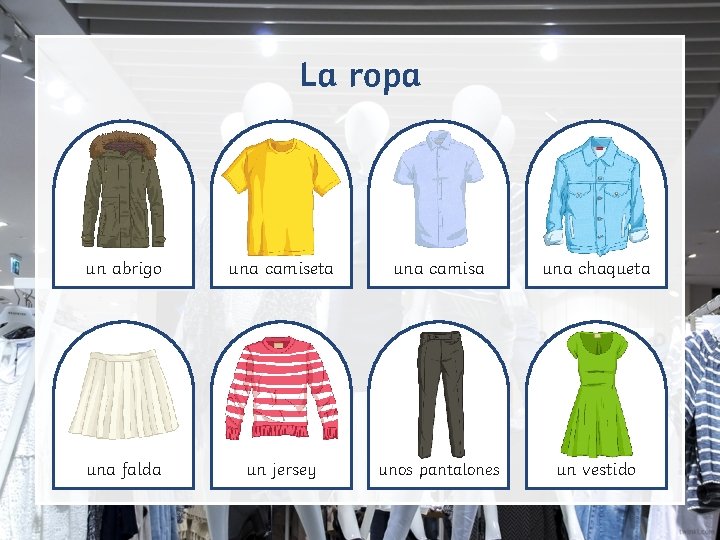 La ropa un abrigo una camiseta una camisa una chaqueta una falda un jersey