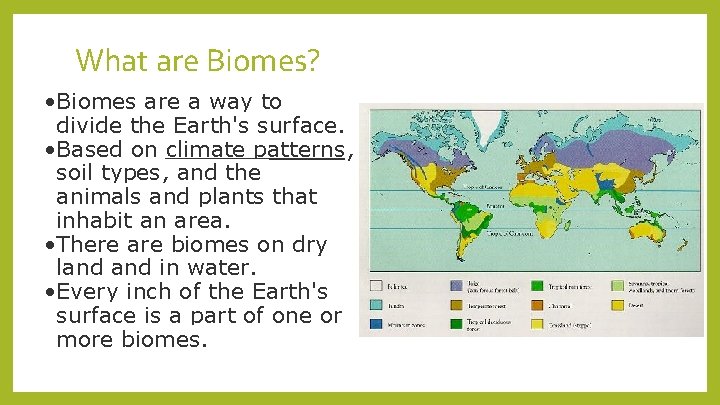 What are Biomes? • Biomes are a way to divide the Earth's surface. •