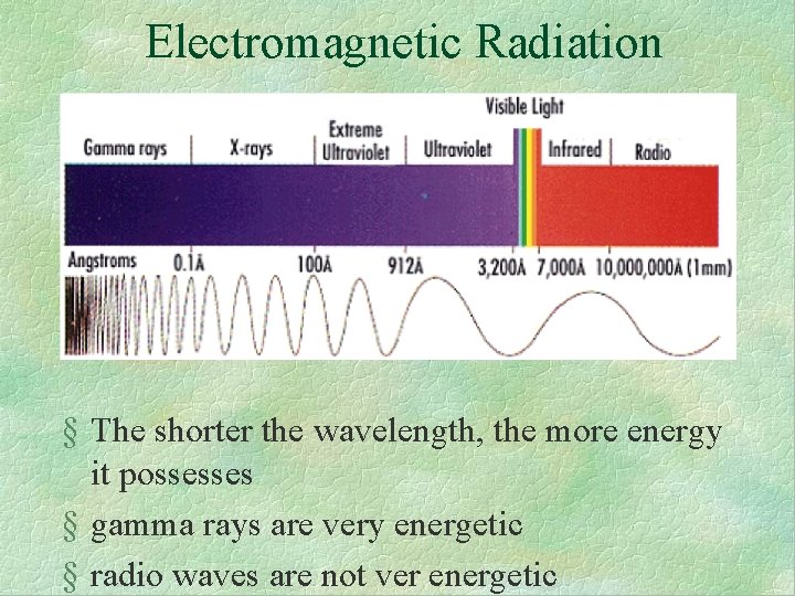 Electromagnetic Radiation § The shorter the wavelength, the more energy it possesses § gamma