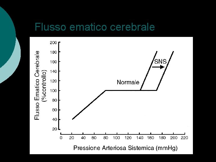 Flusso ematico cerebrale 