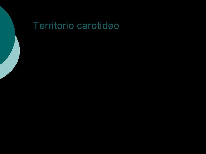 Territorio carotideo 
