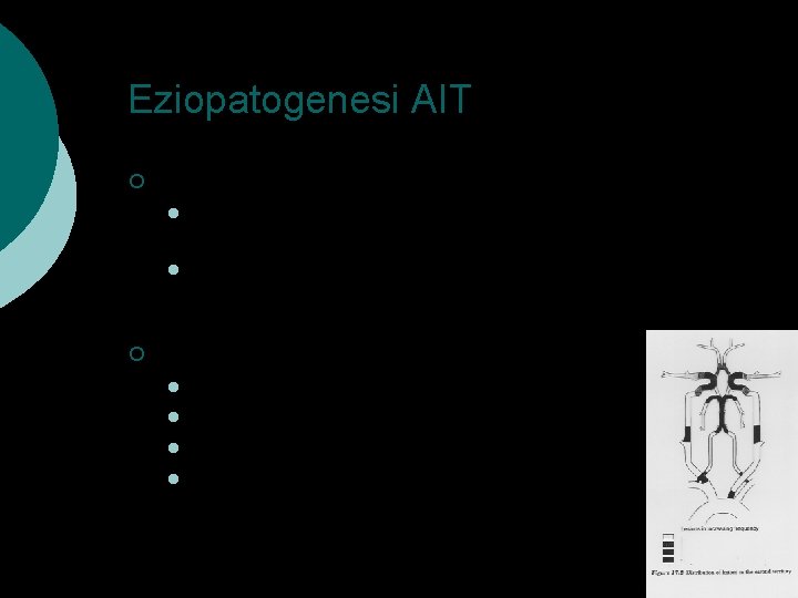 Eziopatogenesi AIT ¡ Aterosclerosi dei grossi vasi l l ¡ Trombosi ed occlusione temporanea