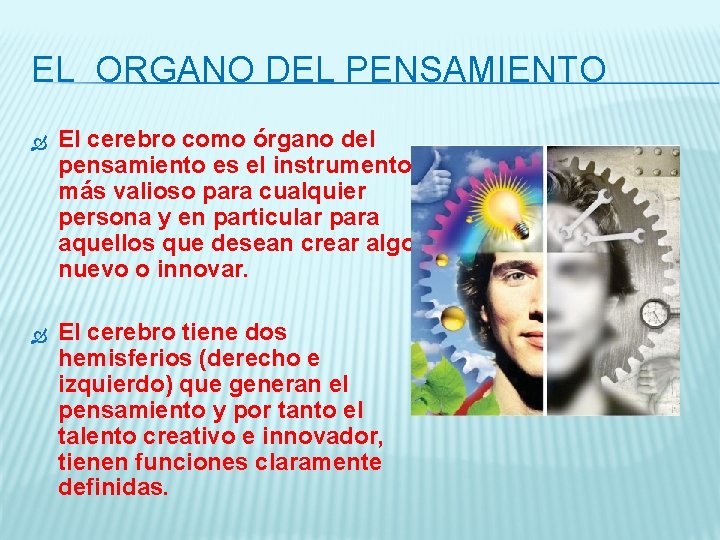 EL ORGANO DEL PENSAMIENTO El cerebro como órgano del pensamiento es el instrumento más