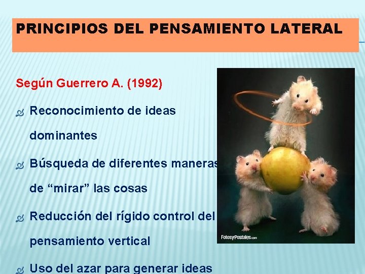 PRINCIPIOS DEL PENSAMIENTO LATERAL Según Guerrero A. (1992) Reconocimiento de ideas dominantes Búsqueda de